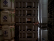 extant_StarTrek_DS9_6x05-FavorTheBold_02865.jpg