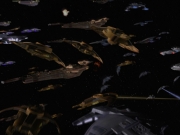 Filename=extant_StarTrek_DS9_6x06-SacrificeOfAngels_01120.jpg
Filesize=148KiB
Dimensions=1200x900
Date added=Jan 08, 2020 extant_StarTrek_DS9_6x06-SacrificeOfAngels_01120.jpg
