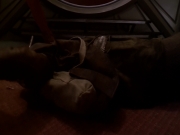 Filename=extant_StarTrek_DS9_6x08-Resurrection_00579.jpg
Filesize=106KiB
Dimensions=1200x900
Date added=Jan 08, 2020 extant_StarTrek_DS9_6x08-Resurrection_00579.jpg