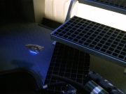 Filename=extant_StarTrek_DS9_6x14-OneLittleShip_1763.jpg
Filesize=143KiB
Dimensions=1200x900
Date added=Jan 11, 2020 extant_StarTrek_DS9_6x14-OneLittleShip_1763.jpg