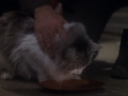 Filename=extant_StarTrek_DS9_6x15-HonorAmongThieves_3546.jpg
Filesize=115KiB
Dimensions=1200x900
Date added=Jan 12, 2020 extant_StarTrek_DS9_6x15-HonorAmongThieves_3546.jpg