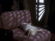 Filename=extant_StarTrek_DS9_6x15-HonorAmongThieves_3703.jpg
Filesize=136KiB
Dimensions=1200x900
Date added=Jan 12, 2020 extant_StarTrek_DS9_6x15-HonorAmongThieves_3703.jpg