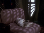 Filename=extant_StarTrek_DS9_6x15-HonorAmongThieves_3704.jpg
Filesize=140KiB
Dimensions=1200x900
Date added=Jan 12, 2020 extant_StarTrek_DS9_6x15-HonorAmongThieves_3704.jpg