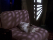 Filename=extant_StarTrek_DS9_6x15-HonorAmongThieves_3705.jpg
Filesize=134KiB
Dimensions=1200x900
Date added=Jan 12, 2020 extant_StarTrek_DS9_6x15-HonorAmongThieves_3705.jpg