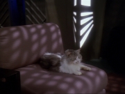 Filename=extant_StarTrek_DS9_6x15-HonorAmongThieves_3707.jpg
Filesize=127KiB
Dimensions=1200x900
Date added=Jan 12, 2020 extant_StarTrek_DS9_6x15-HonorAmongThieves_3707.jpg