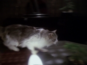 Filename=extant_StarTrek_DS9_6x15-HonorAmongThieves_3711.jpg
Filesize=126KiB
Dimensions=1200x900
Date added=Jan 12, 2020 extant_StarTrek_DS9_6x15-HonorAmongThieves_3711.jpg