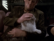 Filename=extant_StarTrek_DS9_6x15-HonorAmongThieves_3718.jpg
Filesize=130KiB
Dimensions=1200x900
Date added=Jan 12, 2020 extant_StarTrek_DS9_6x15-HonorAmongThieves_3718.jpg