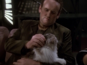 Filename=extant_StarTrek_DS9_6x15-HonorAmongThieves_3719.jpg
Filesize=137KiB
Dimensions=1200x900
Date added=Jan 12, 2020 extant_StarTrek_DS9_6x15-HonorAmongThieves_3719.jpg