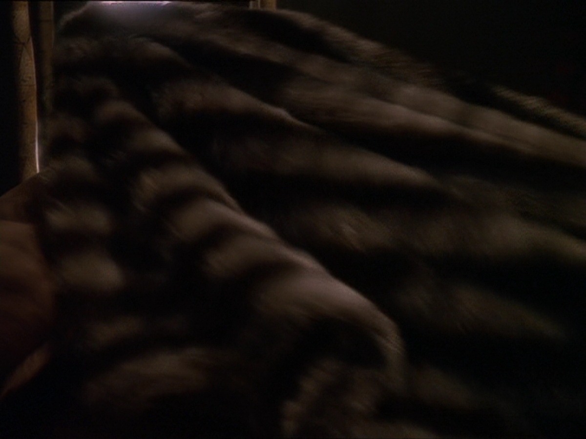 extant_StarTrek_DS9_6x16-ChangeOfHeart_0368.jpg