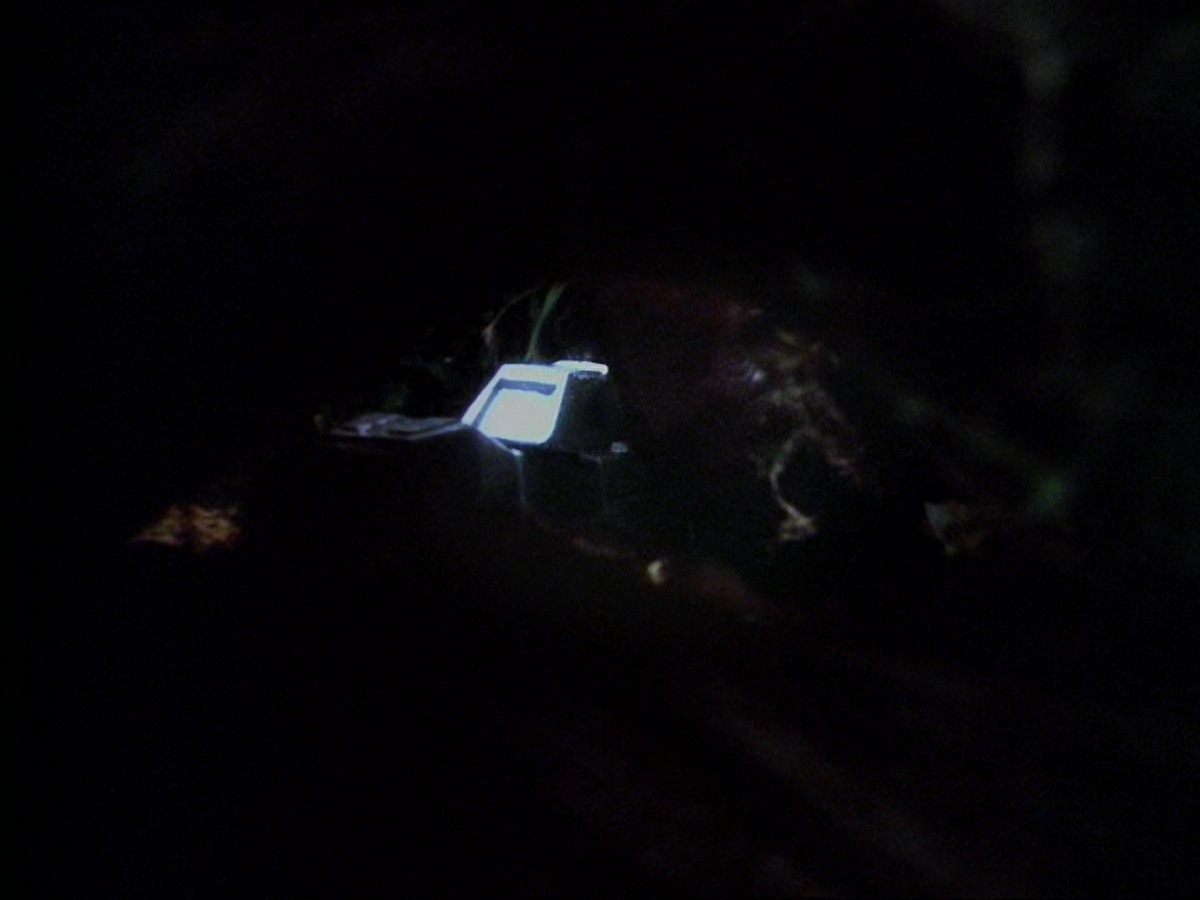 extant_StarTrek_DS9_6x16-ChangeOfHeart_2497.jpg