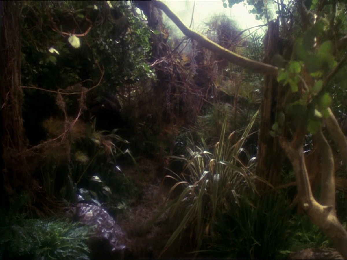 extant_StarTrek_DS9_6x16-ChangeOfHeart_3340.jpg