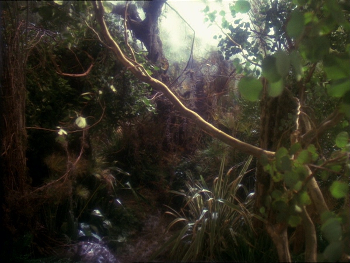 extant_StarTrek_DS9_6x16-ChangeOfHeart_3346.jpg