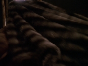 Filename=extant_StarTrek_DS9_6x16-ChangeOfHeart_0368.jpg
Filesize=118KiB
Dimensions=1200x900
Date added=Jan 12, 2020 extant_StarTrek_DS9_6x16-ChangeOfHeart_0368.jpg