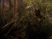 Filename=extant_StarTrek_DS9_6x16-ChangeOfHeart_2228.jpg
Filesize=205KiB
Dimensions=1200x900
Date added=Jan 12, 2020 extant_StarTrek_DS9_6x16-ChangeOfHeart_2228.jpg