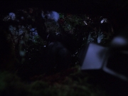 Filename=extant_StarTrek_DS9_6x16-ChangeOfHeart_2524.jpg
Filesize=137KiB
Dimensions=1200x900
Date added=Jan 12, 2020 extant_StarTrek_DS9_6x16-ChangeOfHeart_2524.jpg