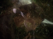 Filename=extant_StarTrek_DS9_6x16-ChangeOfHeart_3319.jpg
Filesize=158KiB
Dimensions=1200x900
Date added=Jan 12, 2020 extant_StarTrek_DS9_6x16-ChangeOfHeart_3319.jpg