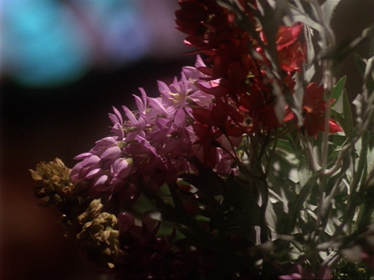 extant_StarTrek_DS9_6x17-WrongsDarkerThanDeathOrNight_0227.jpg