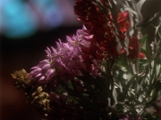 Filename=extant_StarTrek_DS9_6x17-WrongsDarkerThanDeathOrNight_0226.jpg
Filesize=166KiB
Dimensions=1200x900
Date added=Aug 16, 2017 extant_StarTrek_DS9_6x17-WrongsDarkerThanDeathOrNight_0226.jpg