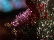 Filename=extant_StarTrek_DS9_6x17-WrongsDarkerThanDeathOrNight_0227.jpg
Filesize=161KiB
Dimensions=1200x900
Date added=Aug 16, 2017 extant_StarTrek_DS9_6x17-WrongsDarkerThanDeathOrNight_0227.jpg