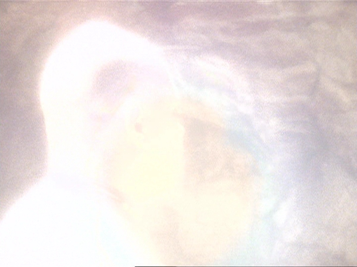 extant_StarTrek_DS9_6x21-TheReckoning_0404.jpg