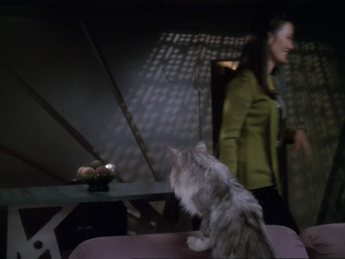 extant_StarTrek_DS9_6x24-TimesOrphan_0130.jpg