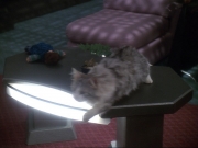 Filename=extant_StarTrek_DS9_6x24-TimesOrphan_0107.jpg
Filesize=135KiB
Dimensions=1200x900
Date added=Jan 13, 2020 extant_StarTrek_DS9_6x24-TimesOrphan_0107.jpg