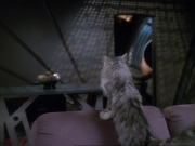Filename=extant_StarTrek_DS9_6x24-TimesOrphan_0132.jpg
Filesize=144KiB
Dimensions=1200x900
Date added=Jan 13, 2020 extant_StarTrek_DS9_6x24-TimesOrphan_0132.jpg