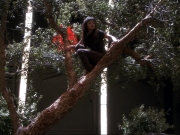 Filename=extant_StarTrek_DS9_6x24-TimesOrphan_1353.jpg
Filesize=252KiB
Dimensions=1200x900
Date added=Jan 13, 2020 extant_StarTrek_DS9_6x24-TimesOrphan_1353.jpg