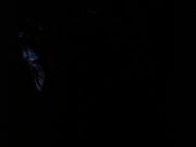 extant_StarTrek_DS9_6x25-TheSoundOfHerVoice_3277.jpg