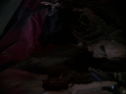 Filename=extant_StarTrek_DS9_6x25-TheSoundOfHerVoice_3340.jpg
Filesize=108KiB
Dimensions=1200x900
Date added=Jan 13, 2020 extant_StarTrek_DS9_6x25-TheSoundOfHerVoice_3340.jpg