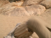 Filename=extant_StarTrek_DS9_7x02-ShadowsAndSymbols_2576.jpg
Filesize=198KiB
Dimensions=1200x900
Date added=Jan 18, 2020 extant_StarTrek_DS9_7x02-ShadowsAndSymbols_2576.jpg