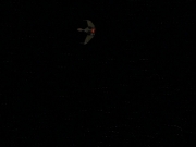 Filename=extant_StarTrek_DS9_7x07-OnceMoreUntoTheBreach_3491.jpg
Filesize=84KiB
Dimensions=1200x900
Date added=Jan 21, 2020 extant_StarTrek_DS9_7x07-OnceMoreUntoTheBreach_3491.jpg