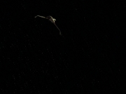 Filename=extant_StarTrek_DS9_7x07-OnceMoreUntoTheBreach_3494.jpg
Filesize=93KiB
Dimensions=1200x900
Date added=Jan 21, 2020 extant_StarTrek_DS9_7x07-OnceMoreUntoTheBreach_3494.jpg