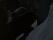 extant_StarTrek_DS9_7x08-TheSiegeOfAR-558_3400.jpg