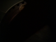 extant_StarTrek_DS9_7x09-Covenant_2674.jpg