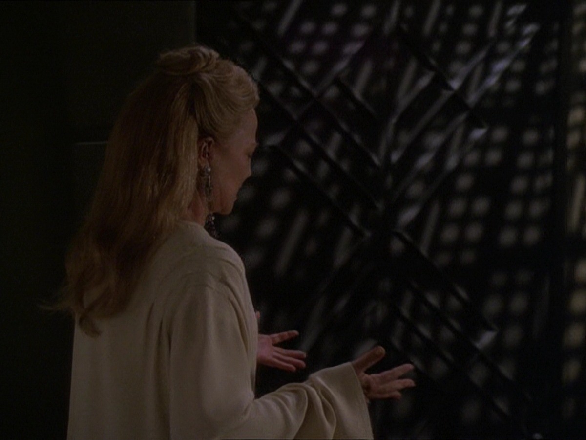 extant_StarTrek_DS9_7x19-StrangeBedfellows_0799.jpg