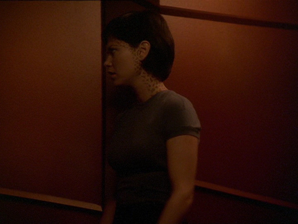 extant_StarTrek_DS9_7x19-StrangeBedfellows_3040.jpg