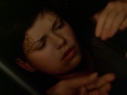 extant_StarTrek_DS9_7x19-StrangeBedfellows_1103.jpg