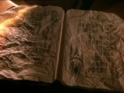 extant_StarTrek_DS9_7x20-TheChangingFaceOfEvil_3390.jpg