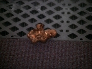 Filename=extant_StarTrek_DS9_7x22-TackingIntoTheWind_2505.jpg
Filesize=216KiB
Dimensions=1200x900
Date added=Jan 22, 2020 extant_StarTrek_DS9_7x22-TackingIntoTheWind_2505.jpg
