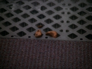 Filename=extant_StarTrek_DS9_7x22-TackingIntoTheWind_2506.jpg
Filesize=216KiB
Dimensions=1200x900
Date added=Jan 22, 2020 extant_StarTrek_DS9_7x22-TackingIntoTheWind_2506.jpg