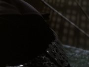 Filename=extant_StarTrek_DS9_7x22-TackingIntoTheWind_3268.jpg
Filesize=116KiB
Dimensions=1200x900
Date added=Jan 22, 2020 extant_StarTrek_DS9_7x22-TackingIntoTheWind_3268.jpg