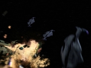 Filename=extant_StarTrek_DS9_7x25-7x26-WhatYouLeaveBehind_2560.jpg
Filesize=150KiB
Dimensions=1200x900
Date added=Jan 22, 2020 extant_StarTrek_DS9_7x25-7x26-WhatYouLeaveBehind_2560.jpg