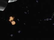 Filename=extant_StarTrek_DS9_7x25-7x26-WhatYouLeaveBehind_2842.jpg
Filesize=117KiB
Dimensions=1200x900
Date added=Jan 22, 2020 extant_StarTrek_DS9_7x25-7x26-WhatYouLeaveBehind_2842.jpg