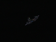 Filename=extant_StarTrek_DS9_7x25-7x26-WhatYouLeaveBehind_3099.jpg
Filesize=113KiB
Dimensions=1200x900
Date added=Jan 22, 2020 extant_StarTrek_DS9_7x25-7x26-WhatYouLeaveBehind_3099.jpg
