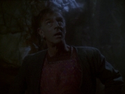 Filename=extant_StarTrek_DS9_7x25-7x26-WhatYouLeaveBehind_3296.jpg
Filesize=130KiB
Dimensions=1200x900
Date added=Jan 22, 2020 extant_StarTrek_DS9_7x25-7x26-WhatYouLeaveBehind_3296.jpg