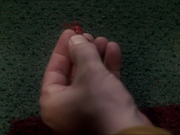 Filename=extant_StarTrek_DS9_7x25-7x26-WhatYouLeaveBehind_6661.jpg
Filesize=160KiB
Dimensions=1200x900
Date added=Jan 22, 2020 extant_StarTrek_DS9_7x25-7x26-WhatYouLeaveBehind_6661.jpg